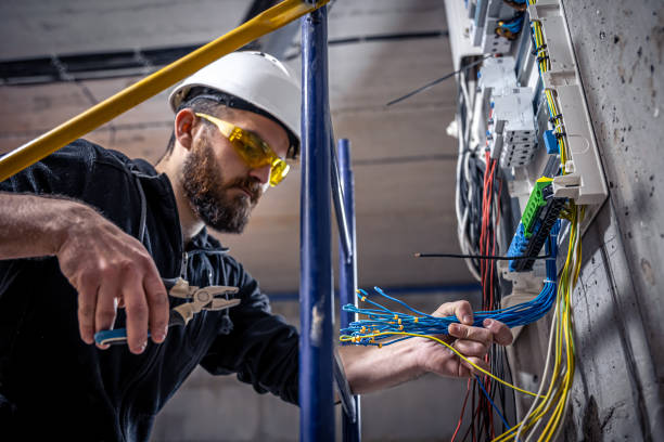 Best Local Electrician Companies  in Pulaski, NY